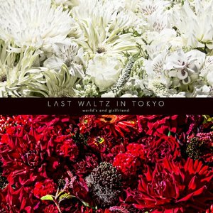 LAST WALTZ IN TOKYO