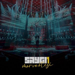 SAYGI1